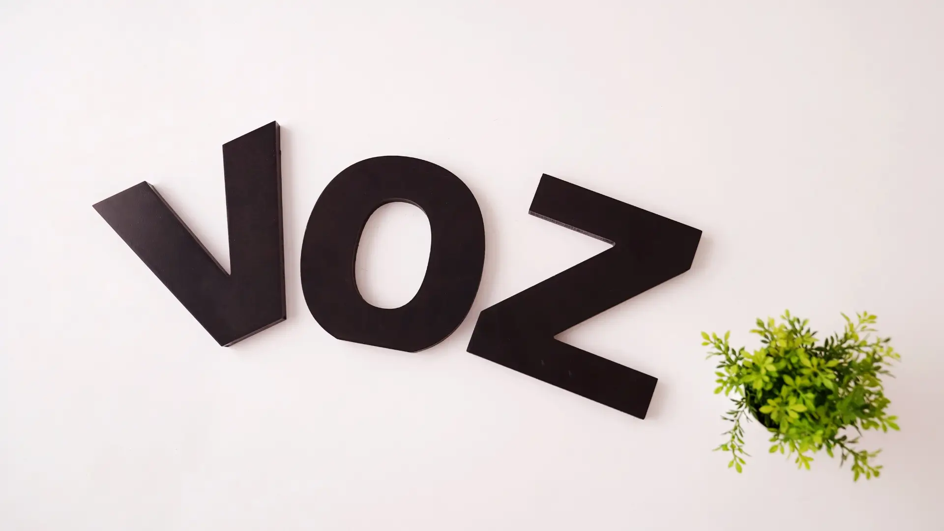Voz